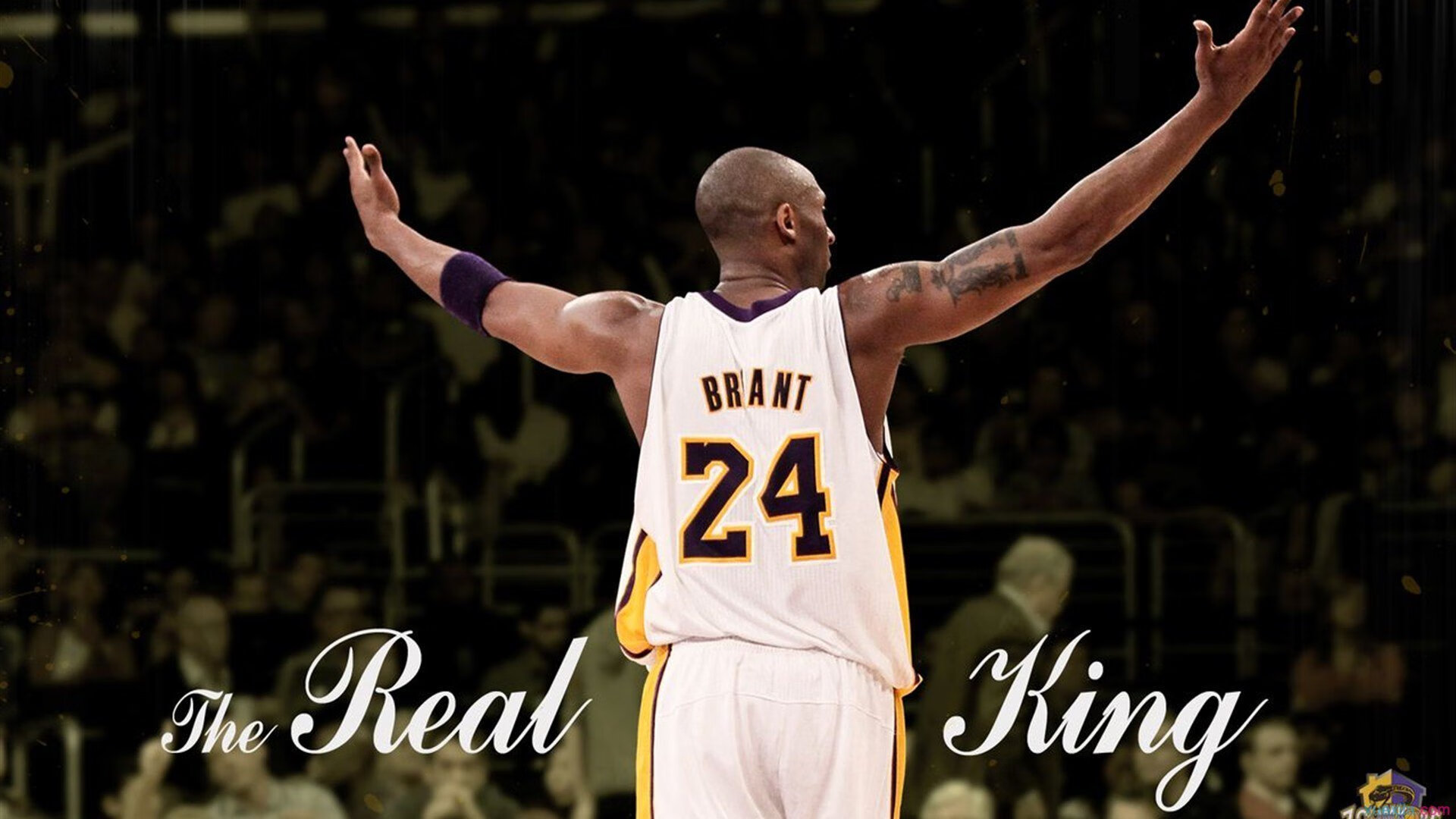 罗尔费斯盛赞阿隆索,深厚情谊与皇马时代的前奏